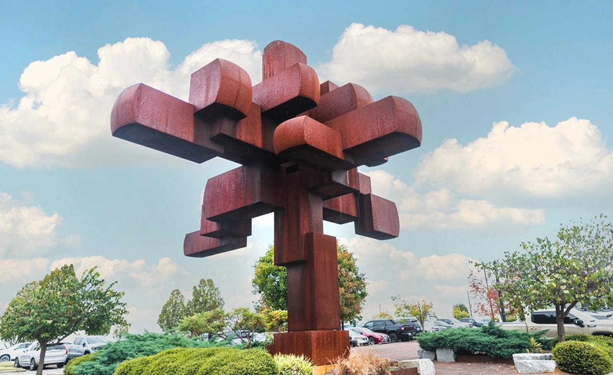 Read more about the article SOUTHPARK MAGAZINE – In Plain View: Old Growth